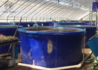 Προϊόντα M5000L Rotomolding, ανοικτή τοπ κυκλική μπλε δεξαμενή νερού Aquaponics 1300 γαλονιού